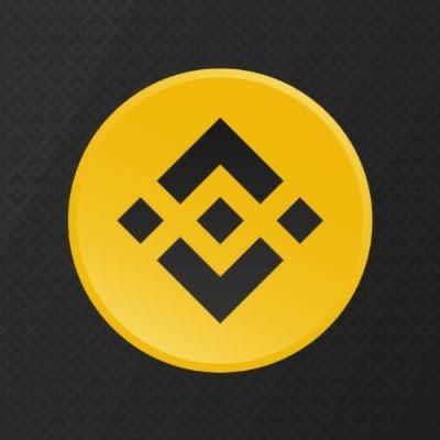 Binance Smart Chain Image